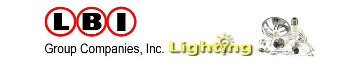 LBI Group Companies, Vivian W. Logan, CEO